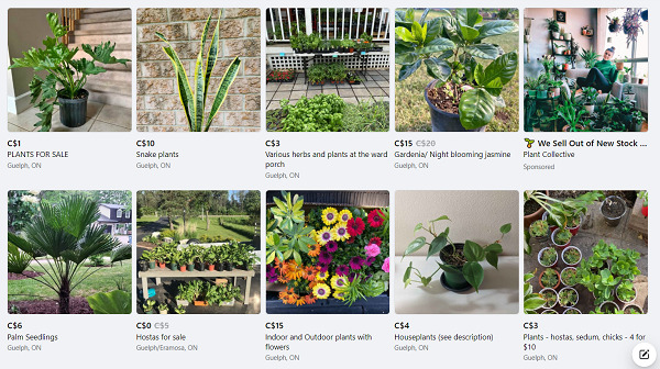sell-plants-on-Facebook