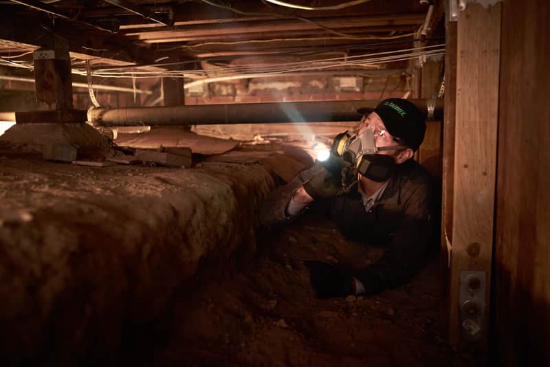 photo of a Terminix technician inspecting the crawl space of a home