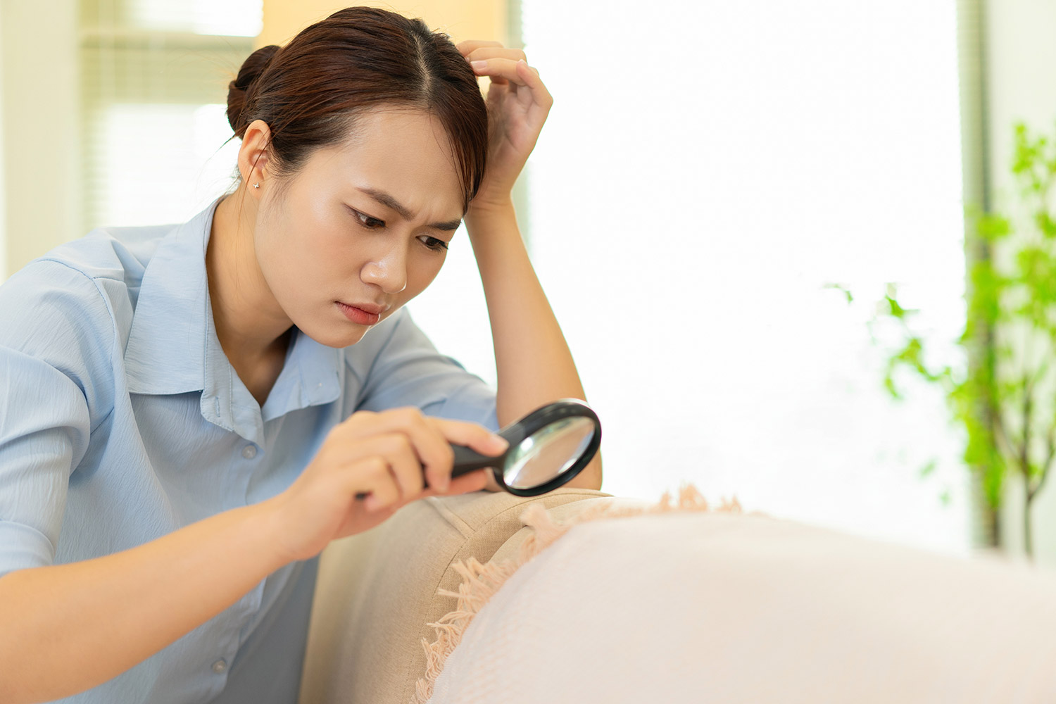 photo of a woman looking for baby bed bugs