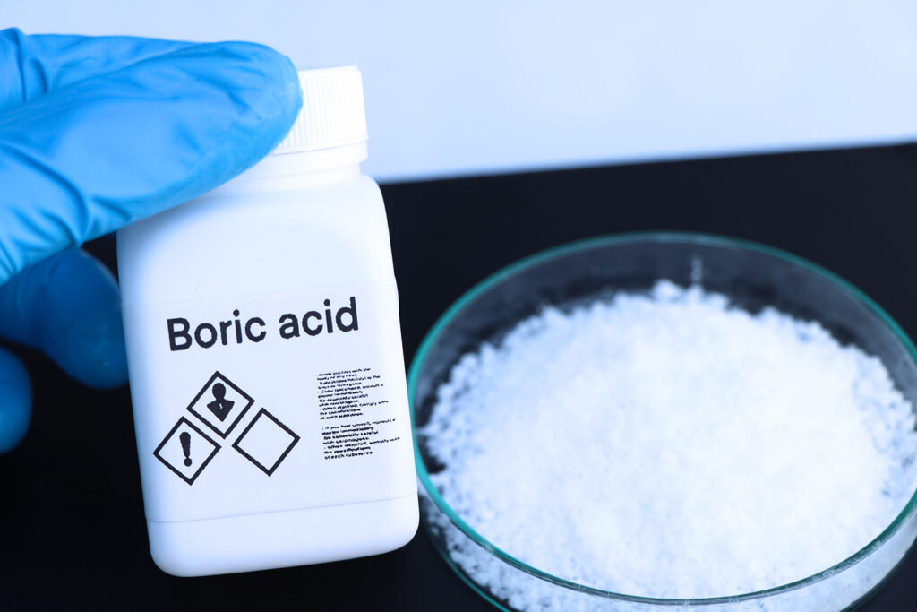 photo of boric acid