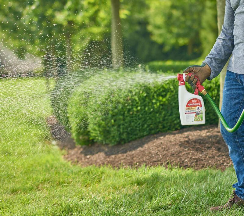 photo of a homeowner spraying Ortho Home Defense outdoors