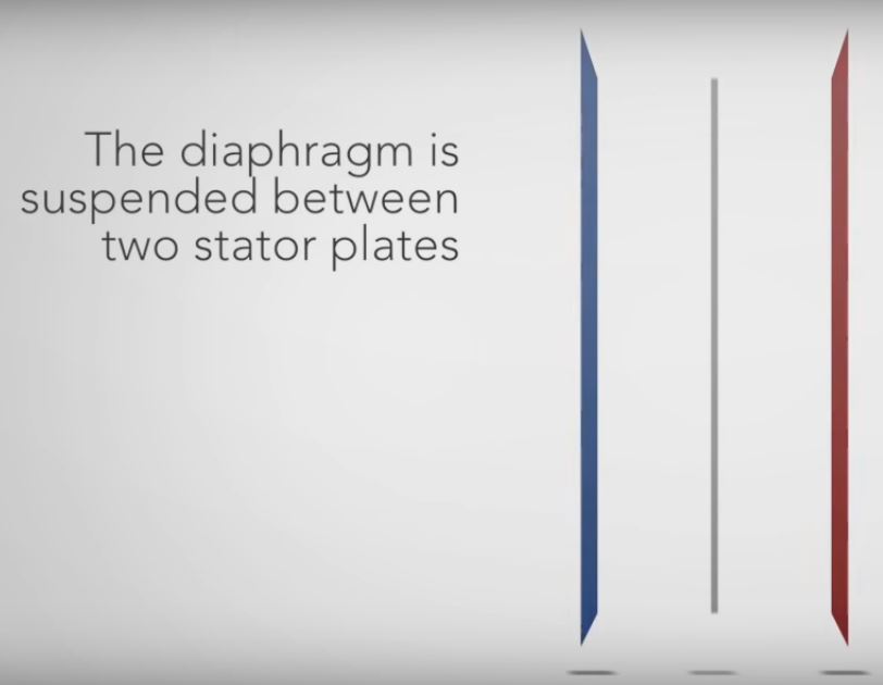 diaphragm is suspended between two metal mesh plates