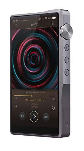 iBasso DX220 High Resolution Referent Digital Audio Player with 5.0" 1080P LCD Dual ES9028PRO, 8-core CPU, Two-Way Bluetooth 5.0 (Titanium)