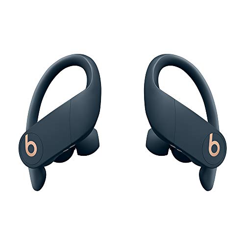 Beats Powerbeats Pro Wireless Earbuds