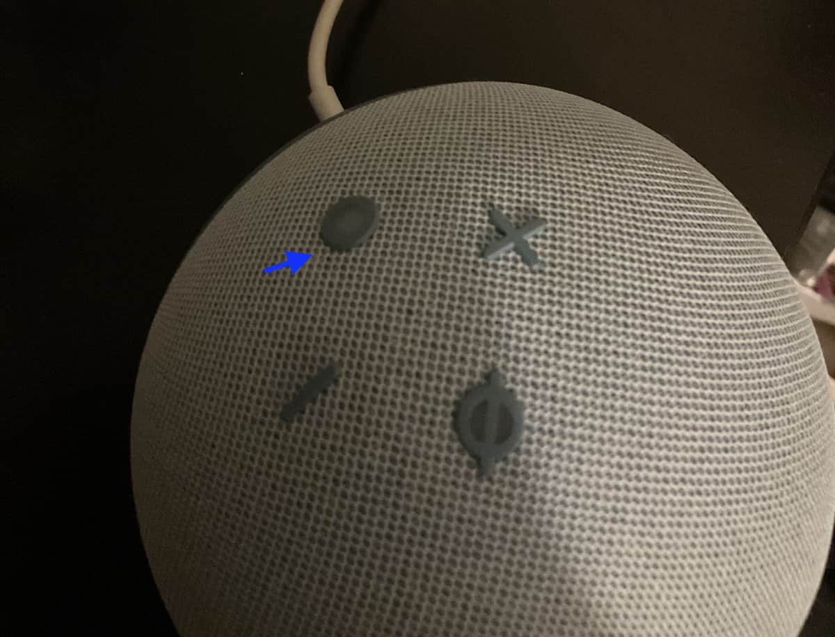 Action Button on Echo Dot