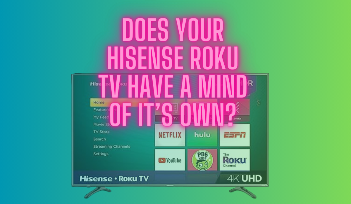 Roku on and off by itself