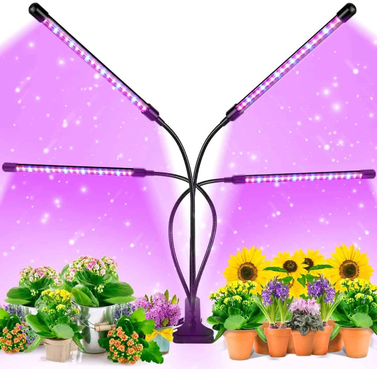 Marketing image for the EZORKAS multi-head LED grow light, showing it perched over multiple plants giving off a purple-ish light.