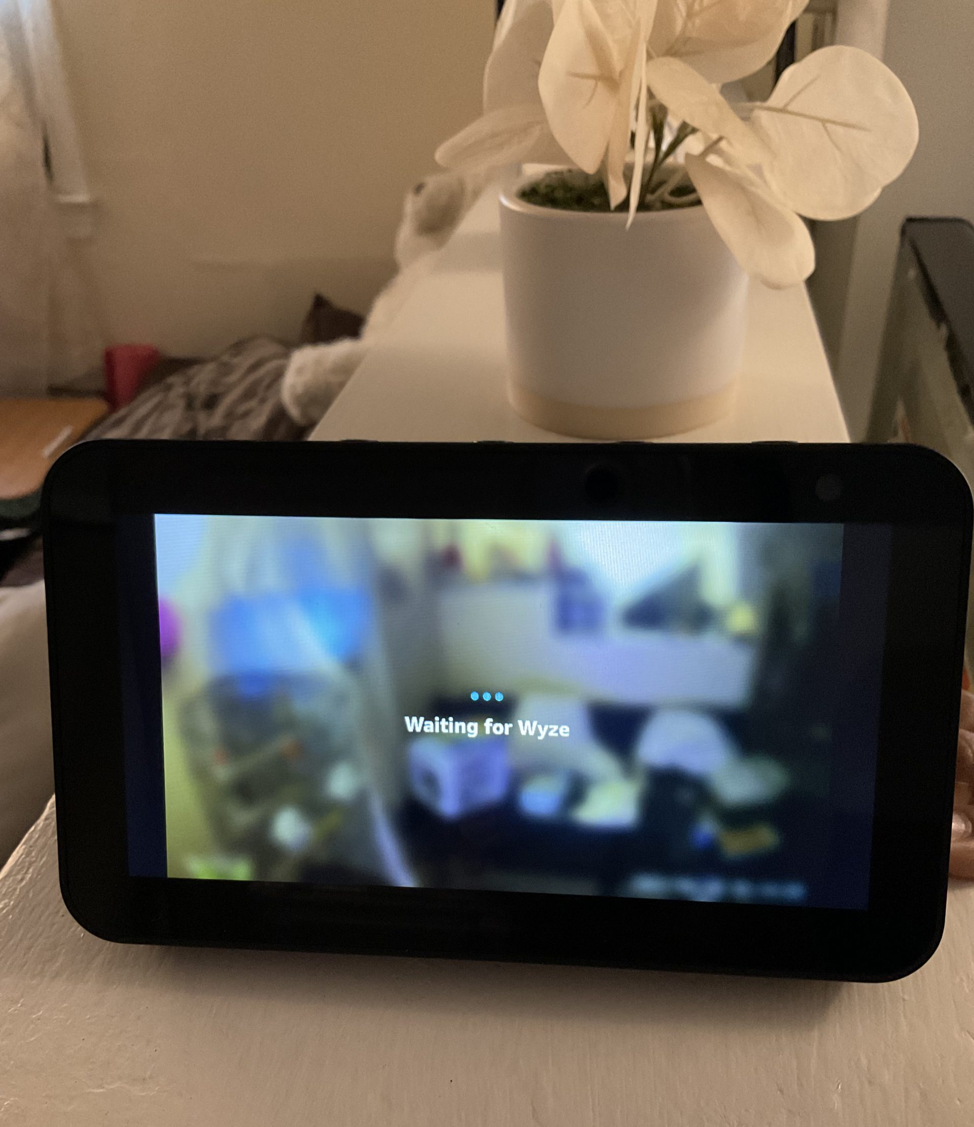 Echo Show waiting for Wyze