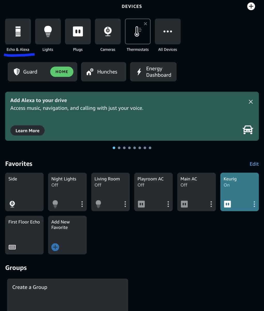 Echo and Alexa in the Alexa App