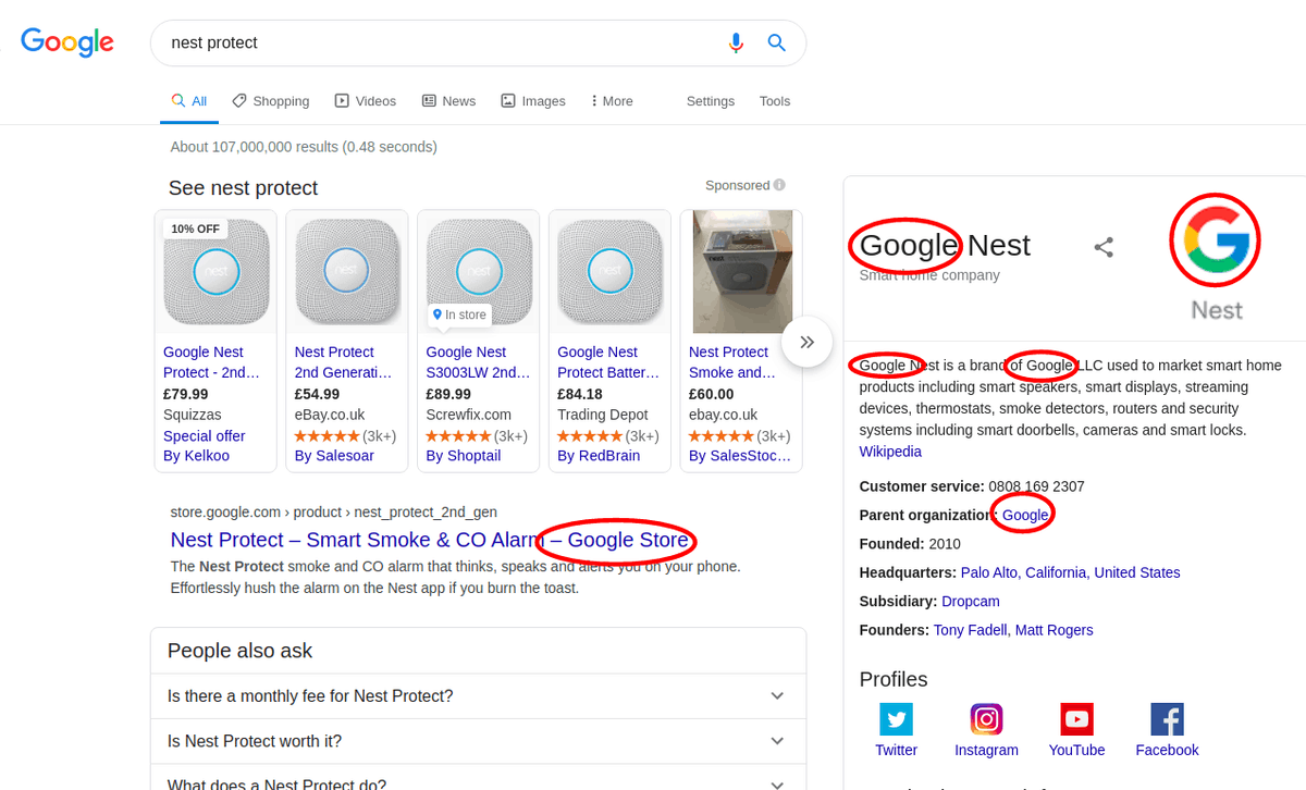 A Google search for 'Nest Protect'