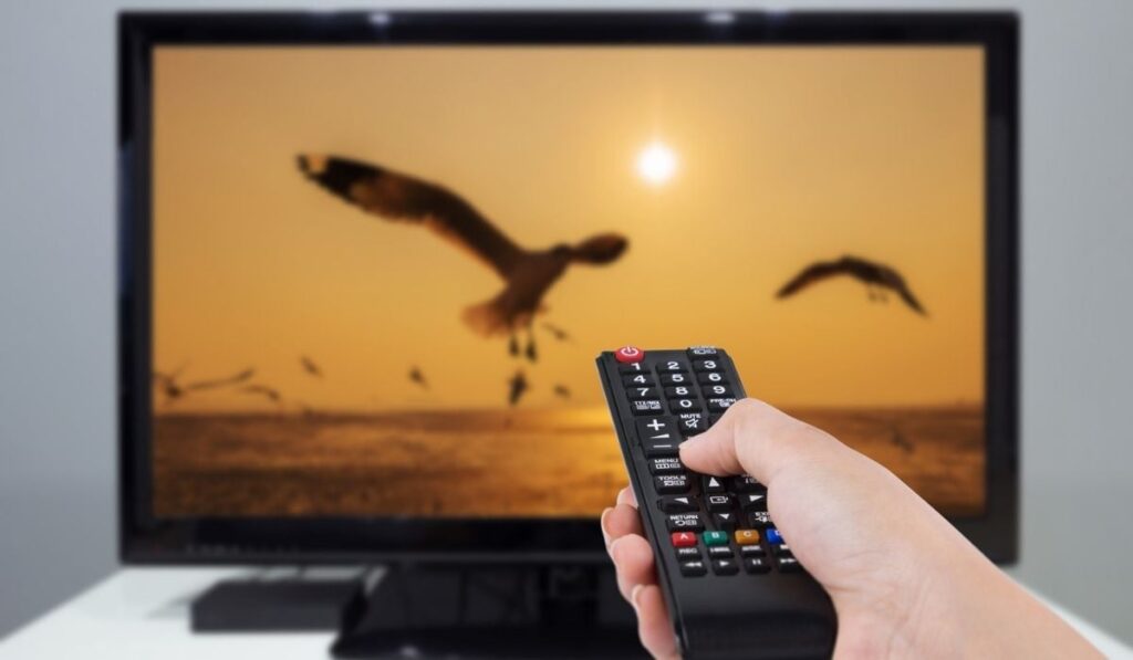 Hand holding TV remote control with a television