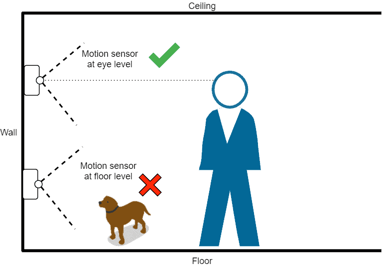 Diagram showing best Philips Hue motion sensor placement to avoid pets