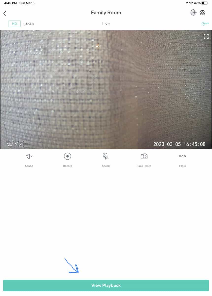 Playback button in Wyze app