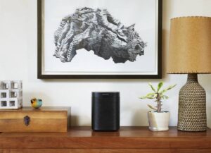 A black Sonos One (Gen 2) sitting on a desk, with a picture above it and a plant to its right.