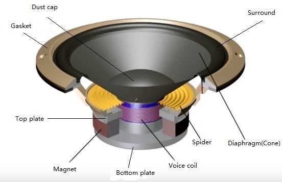 Speaker driver cross section