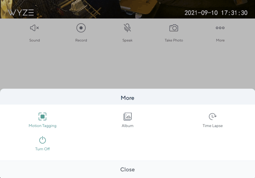 Wyze app More screen