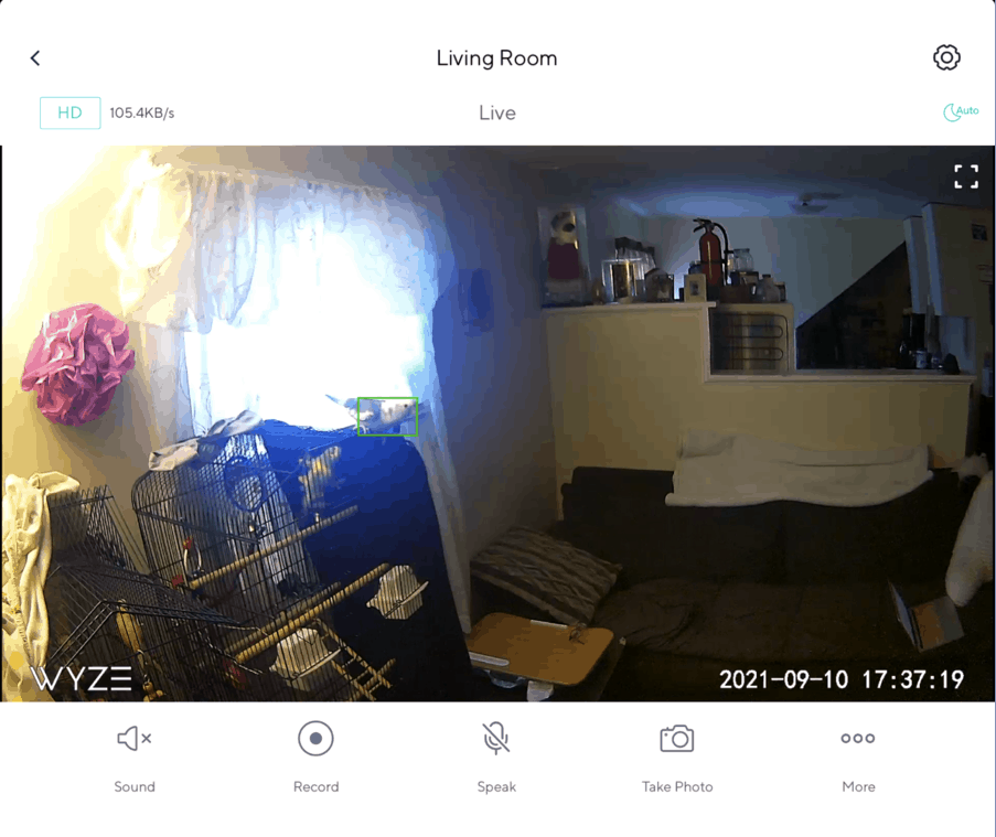 Wyze app motion tagging