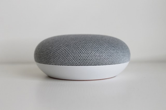 Factory Reset Google Home Mini