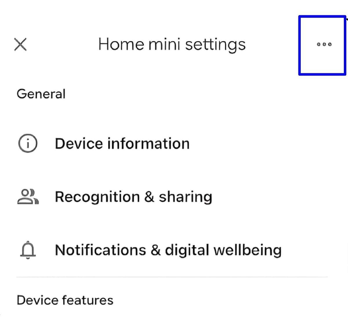 Home mini settings