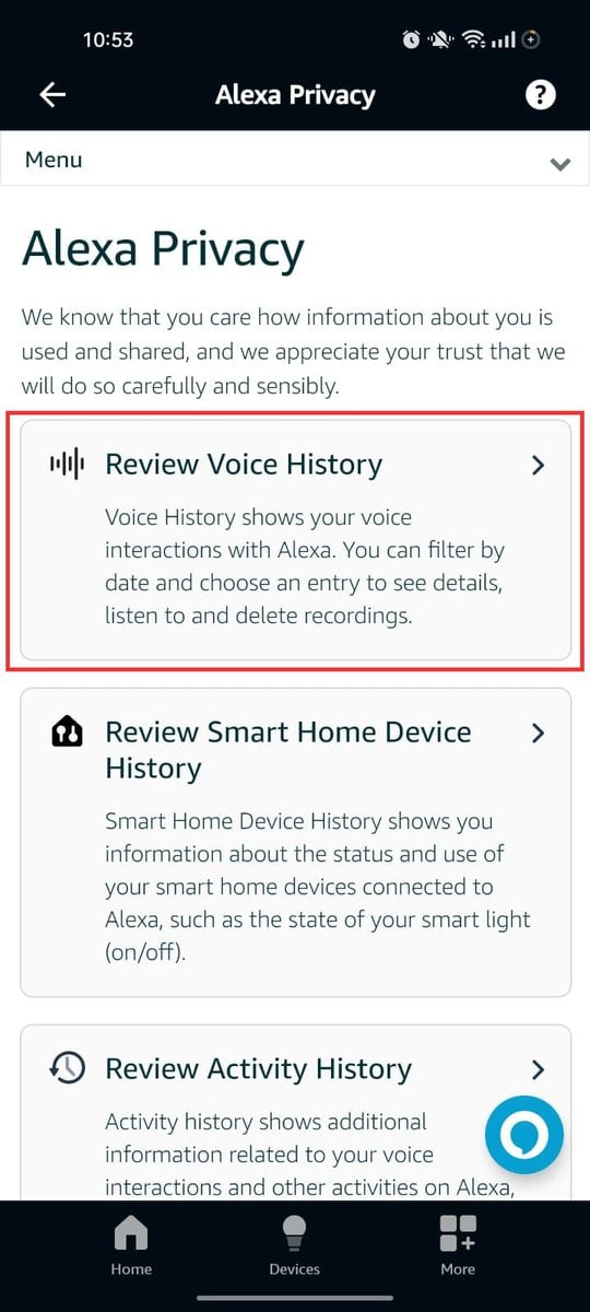 Review Voice History