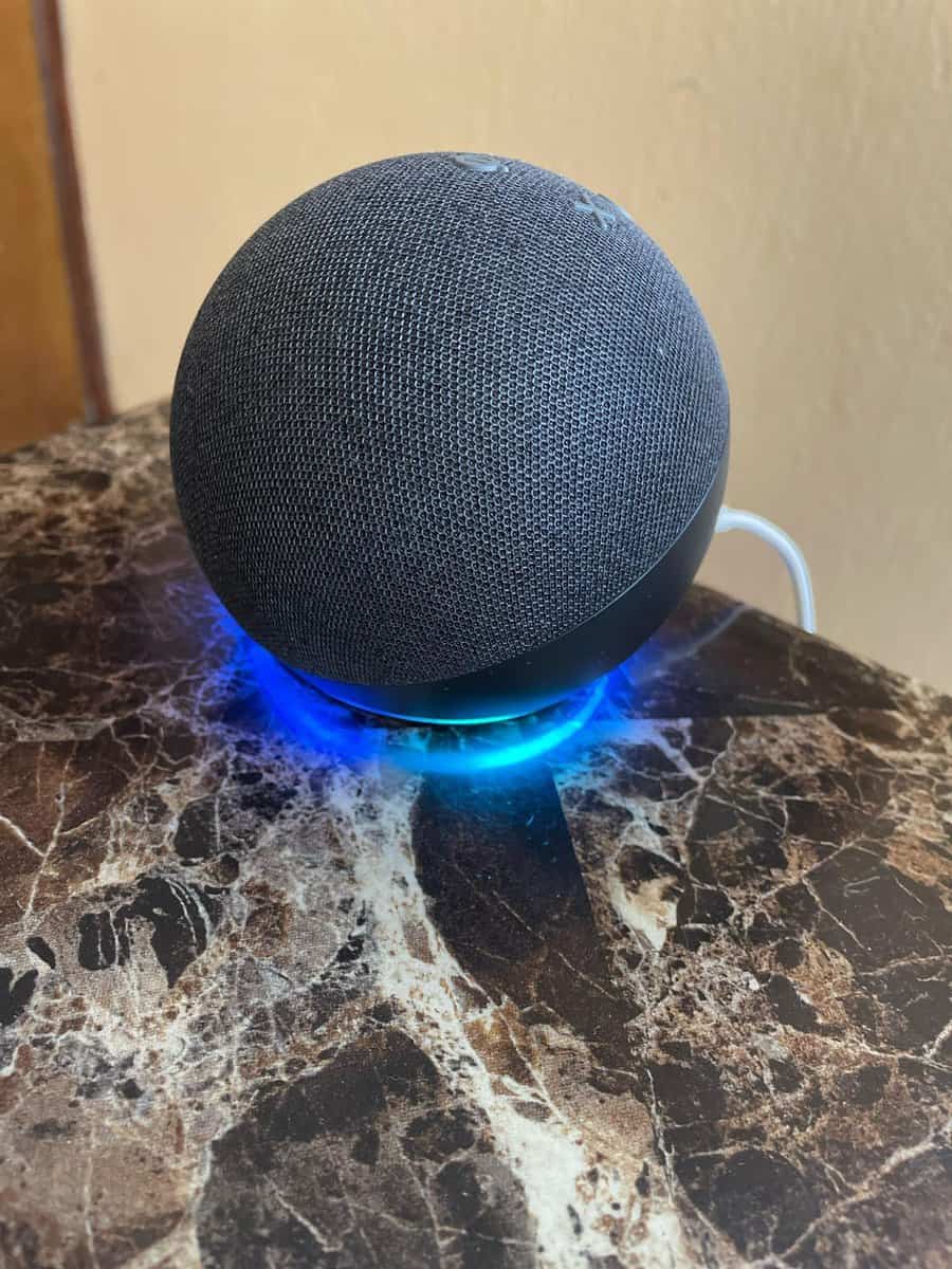 1st Gen Echo or Echo Dot