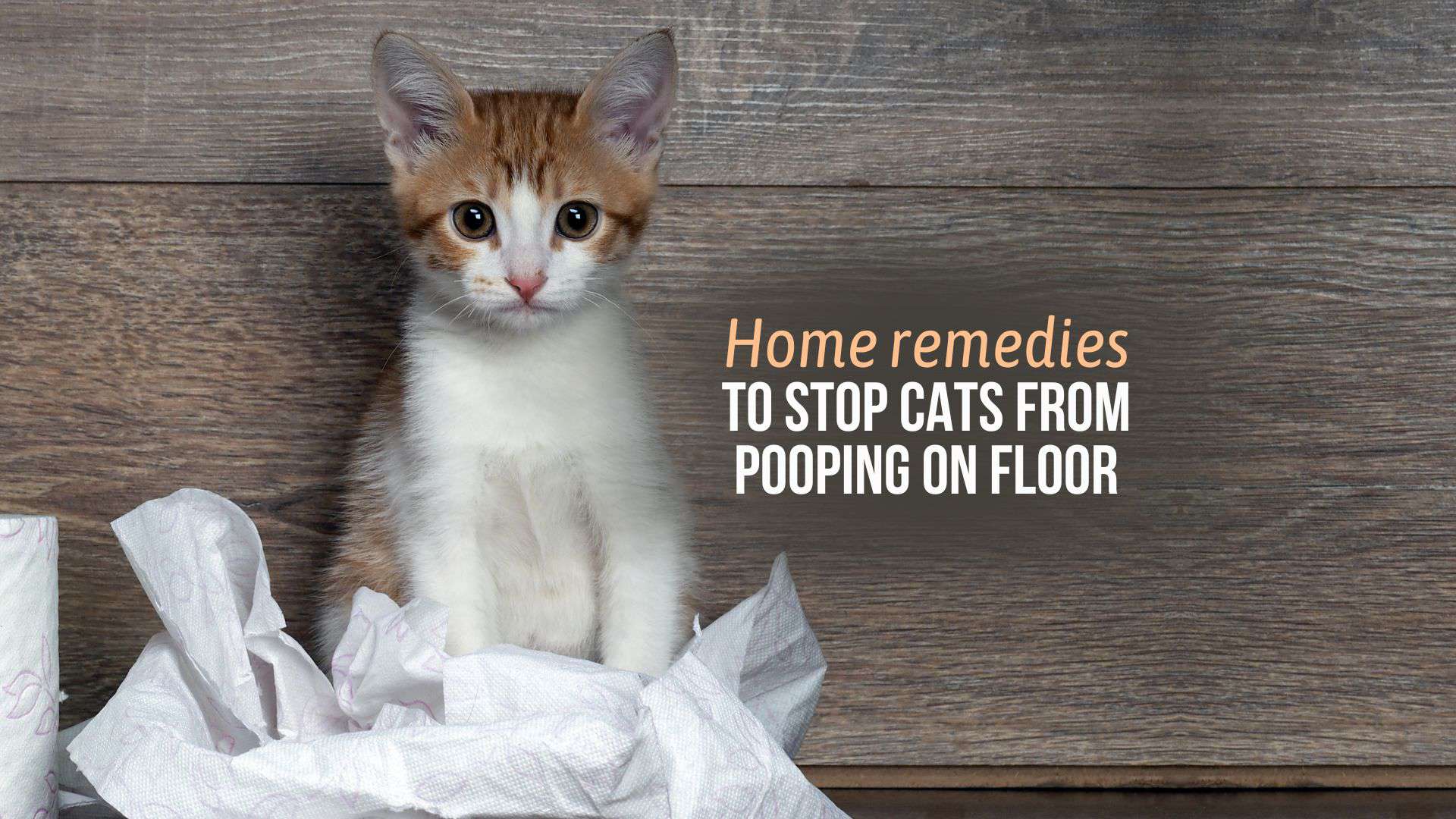 home remedies for stoppping cat popping on floor