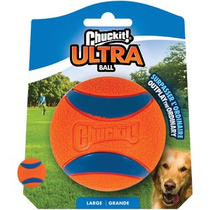 ChuckIt Ball