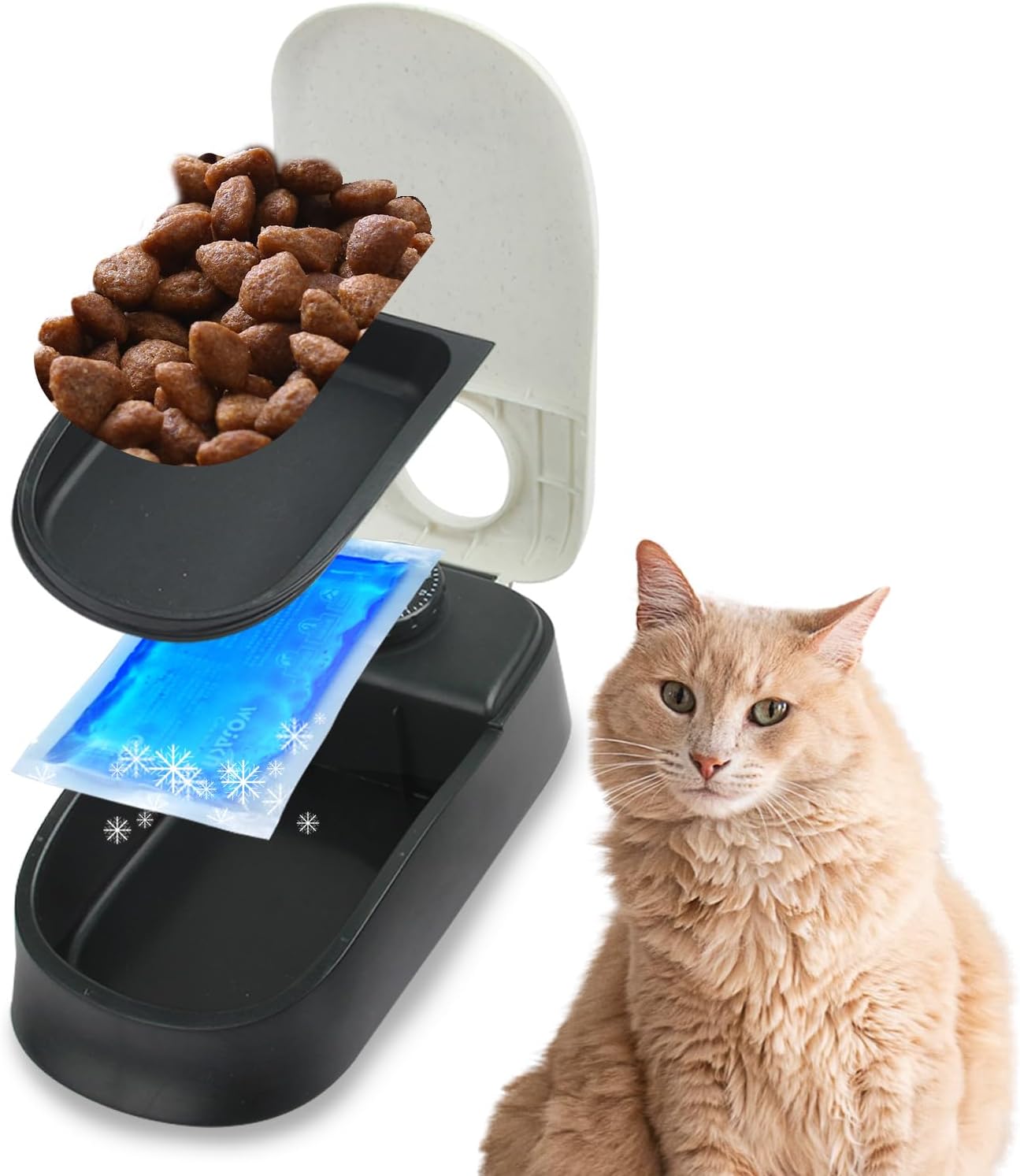 PAWISE Automatic Pet Feeder