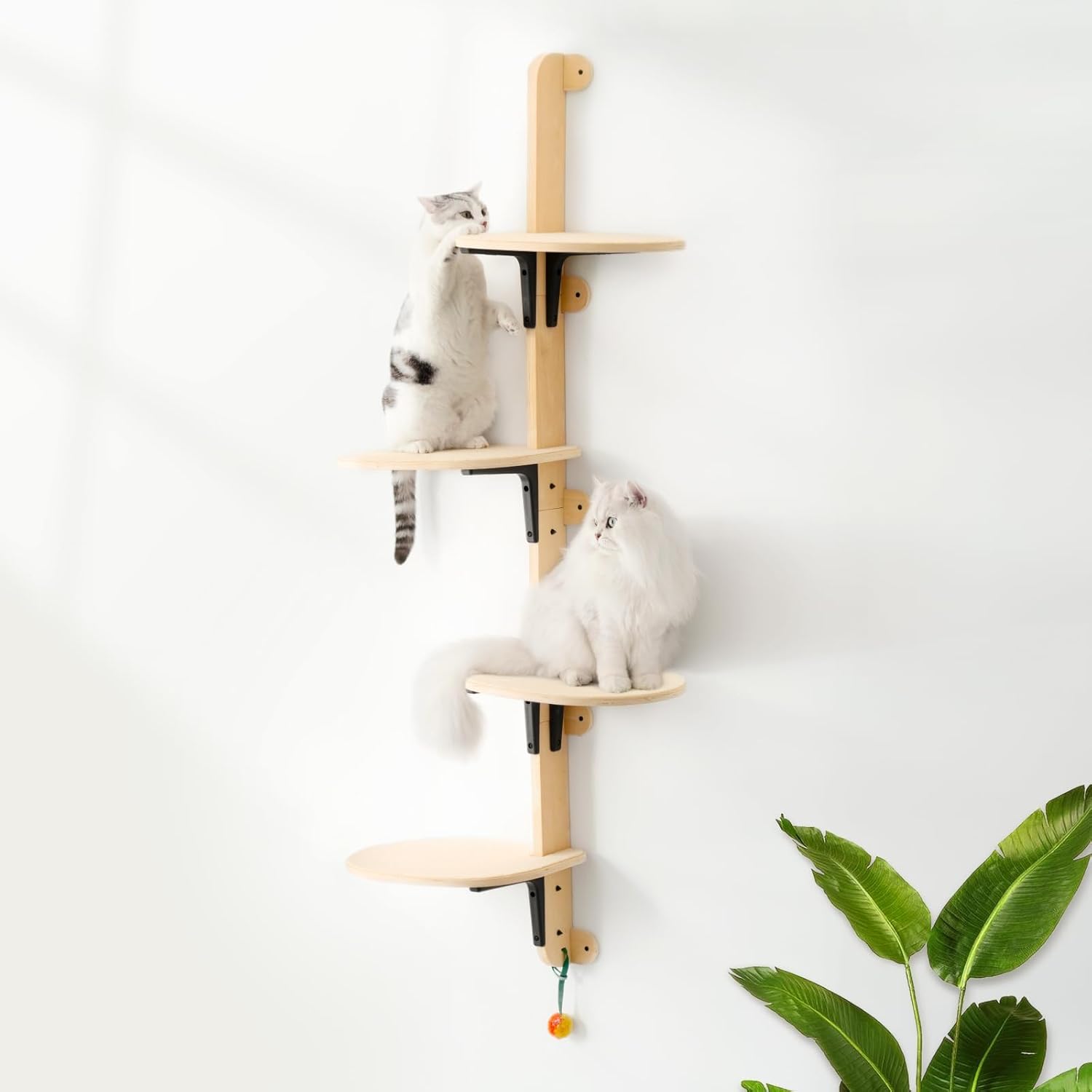 MEWOOFUN Wall Mounted Cat Climber Shelves