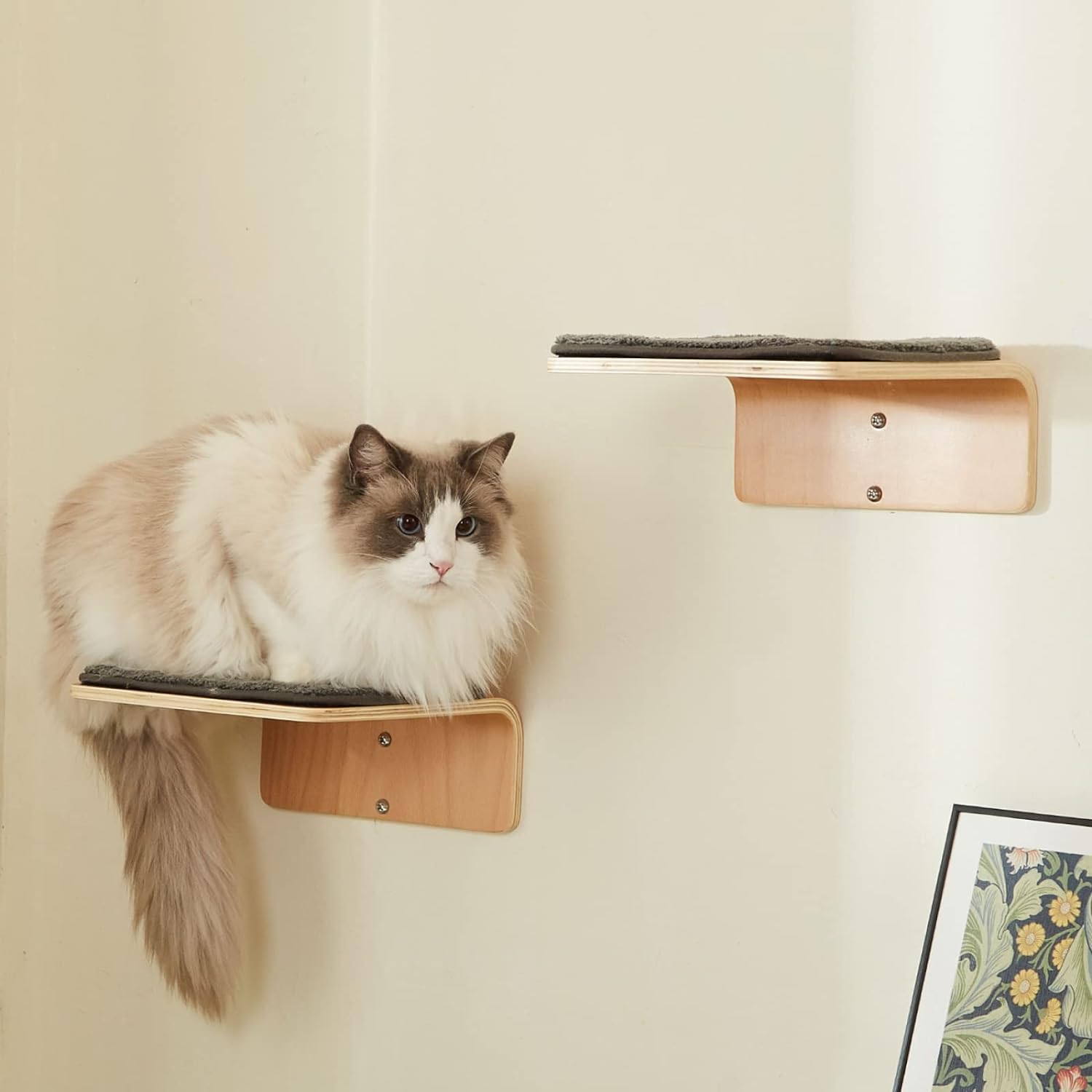 Wooden Cat Wall Steps