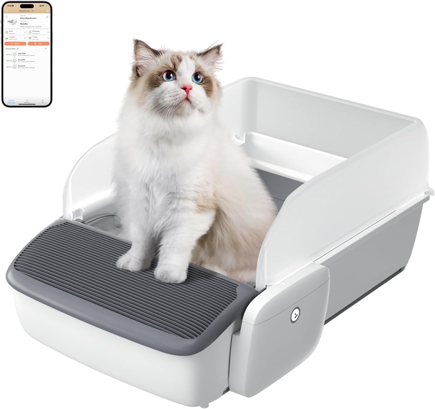 Self-Cleaning Litter Box