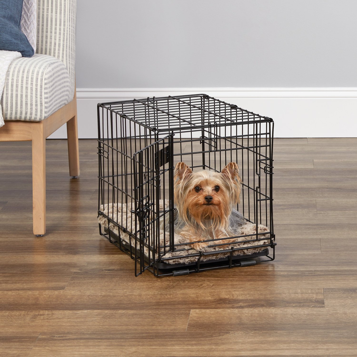 Crate size for 20 lb dog best sale