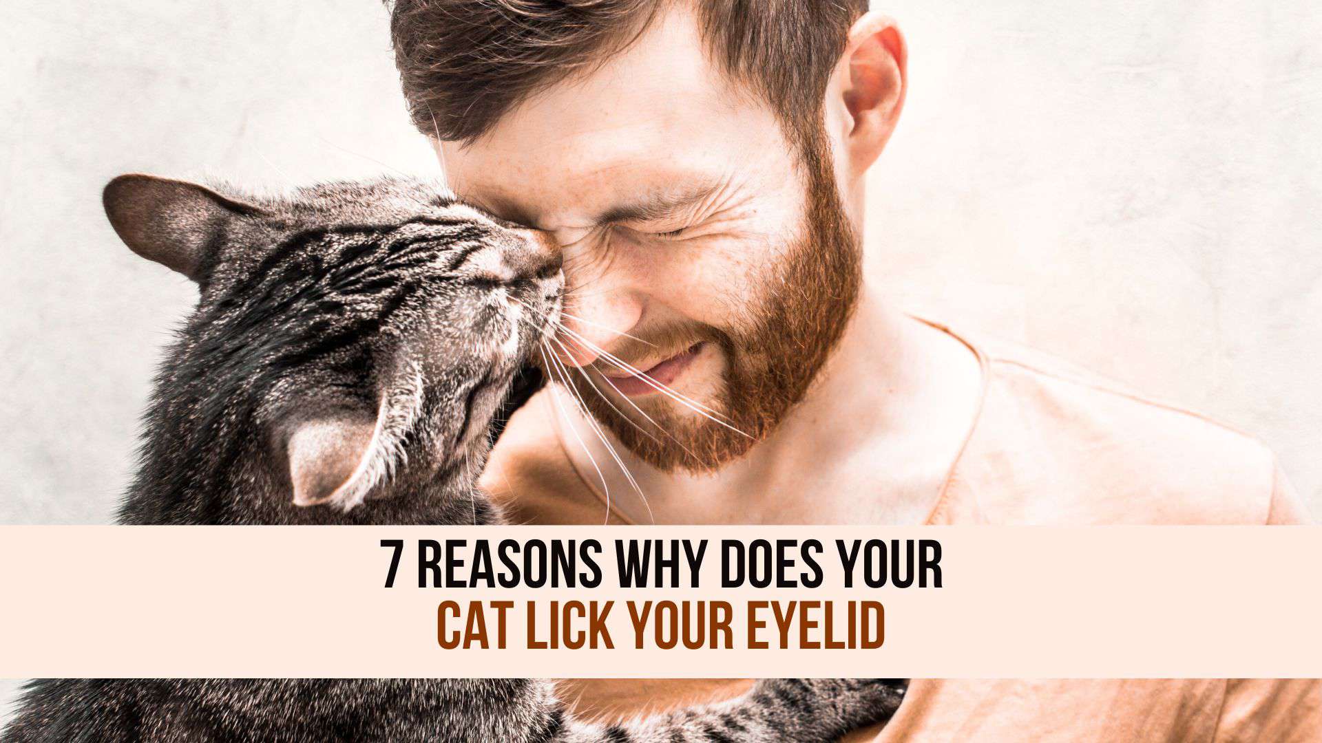 cat licking man's eyelid