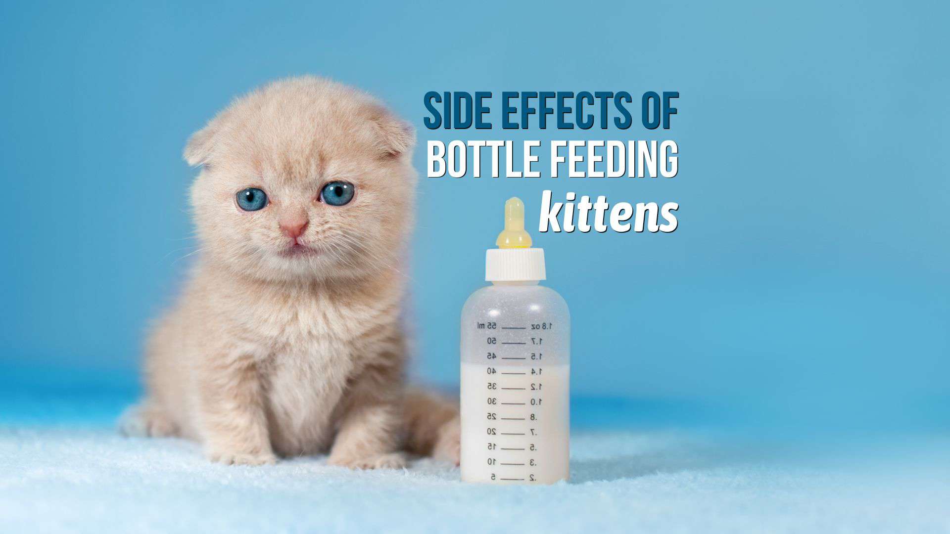 side effects of bottle feeding cats