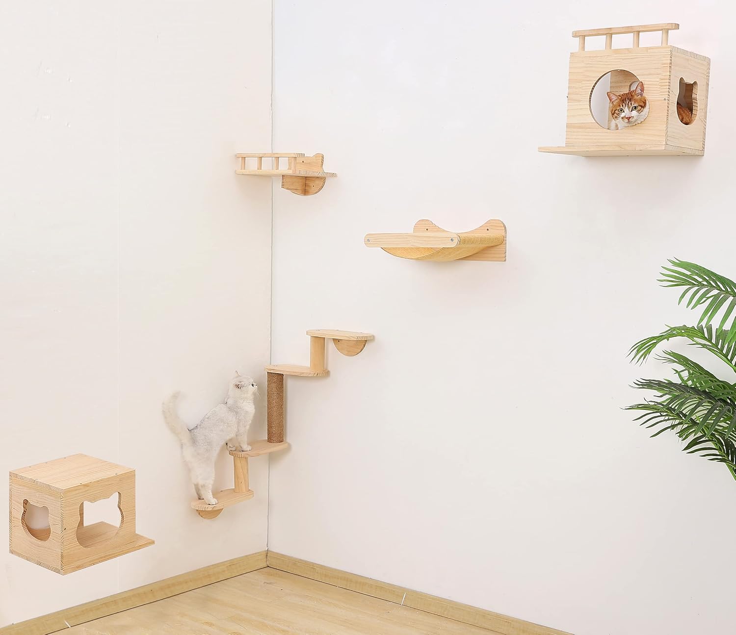 Wall Mounted Cat Shelves