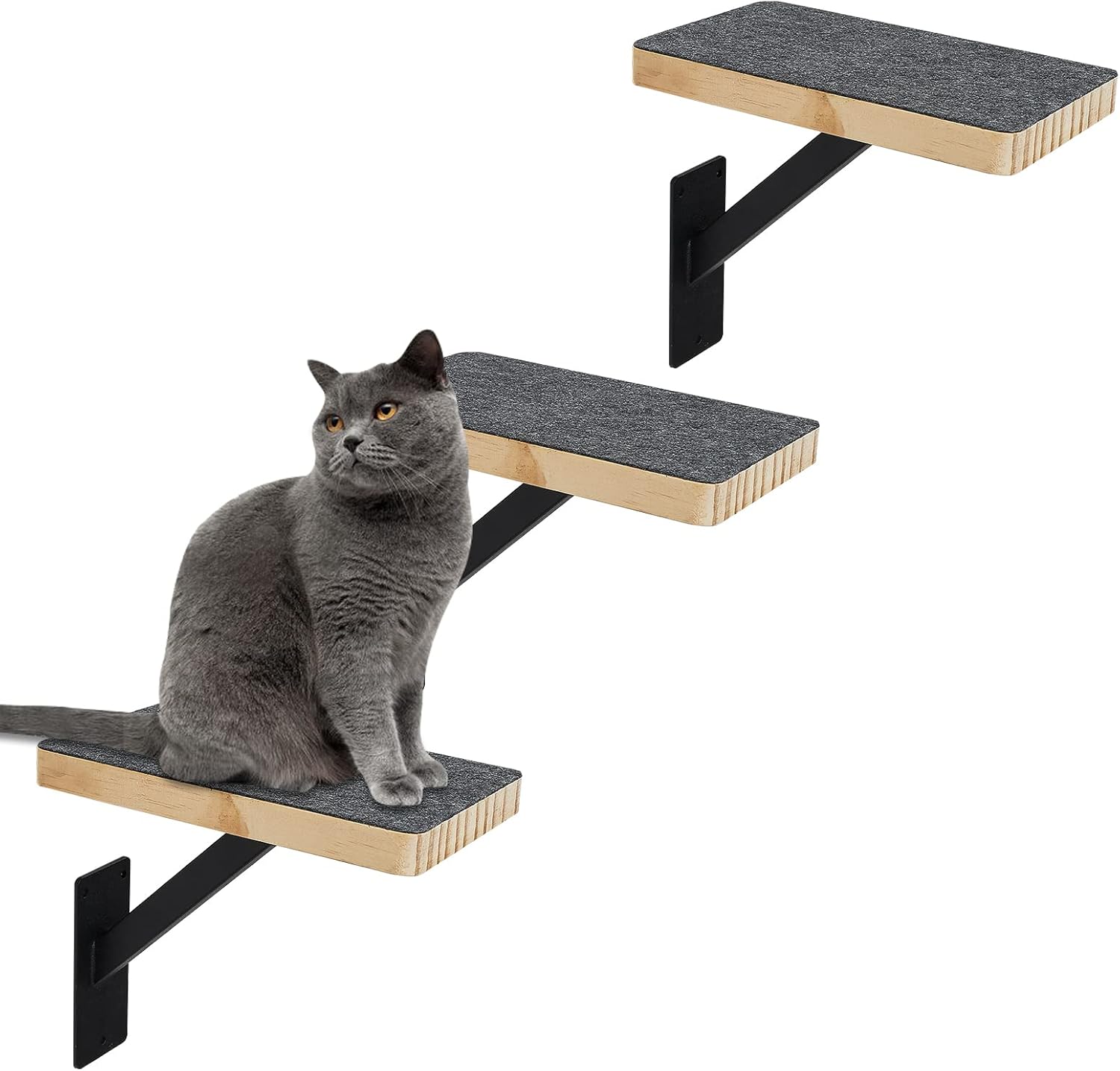 Cat Climbing Steps for Wall