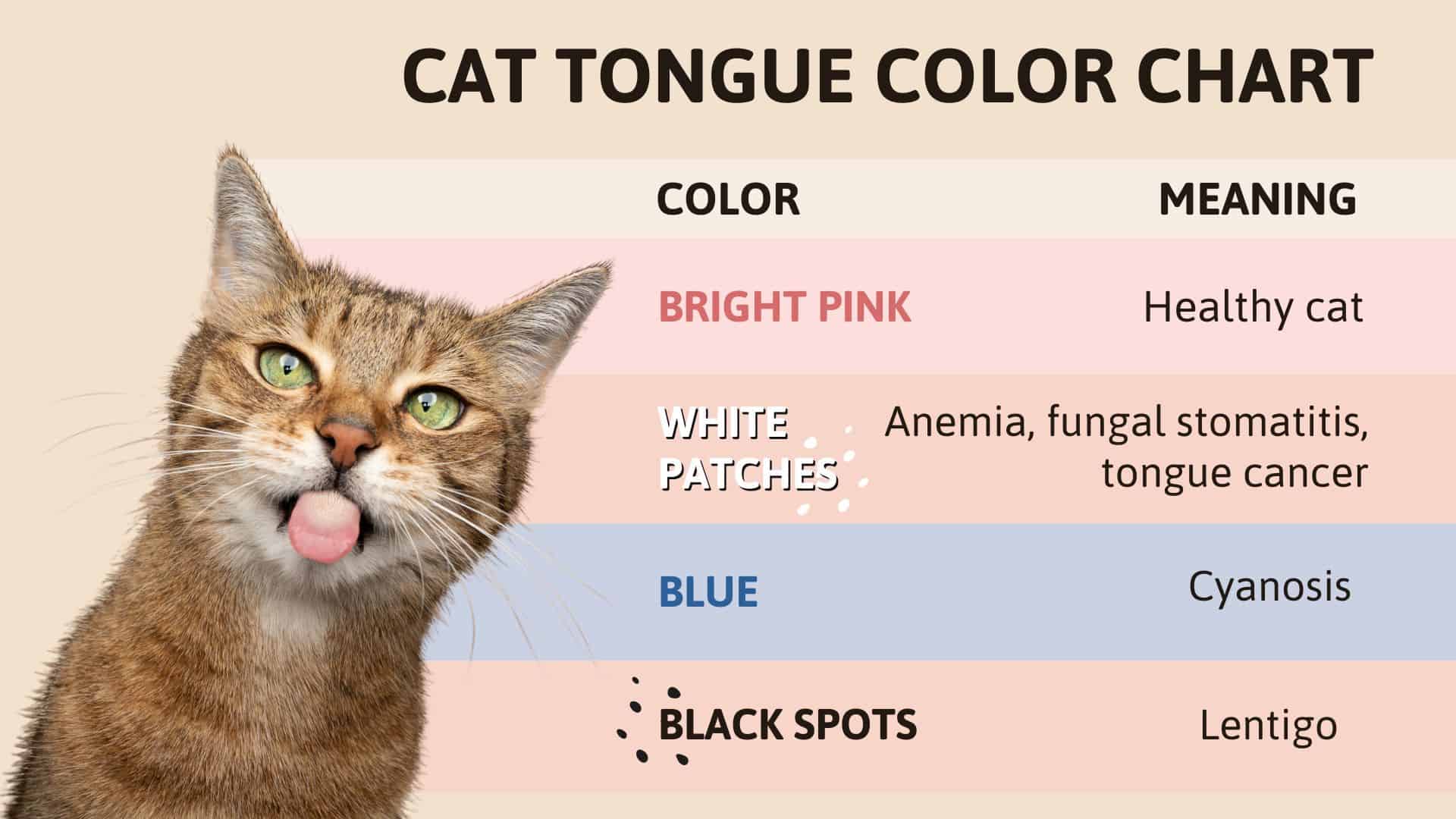 Cat Tongue Color Chart