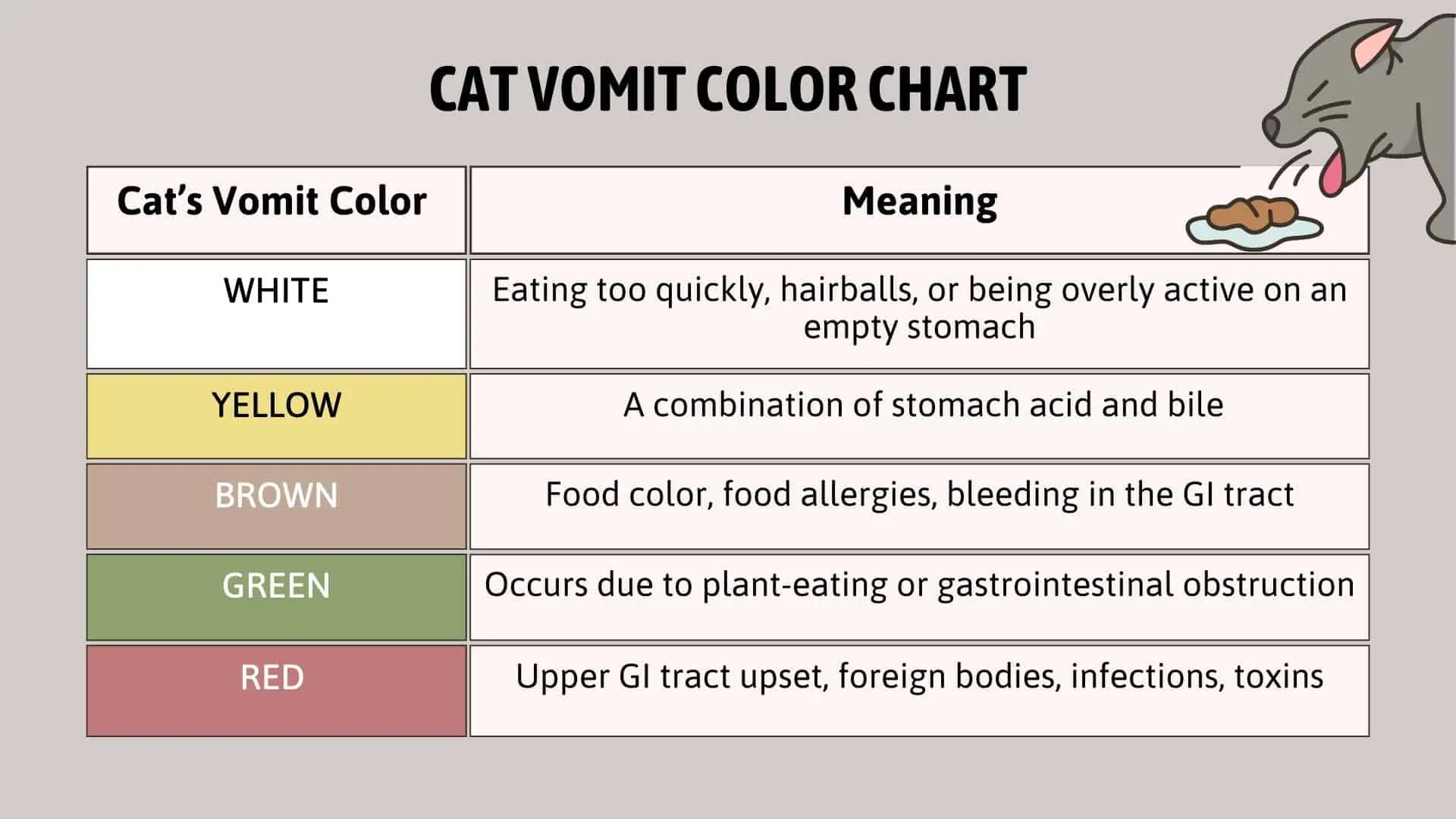 guide to cat vomit color