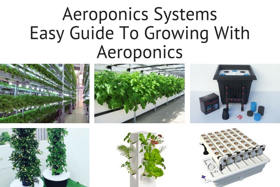 guide to home aeroponics systems for growing plants