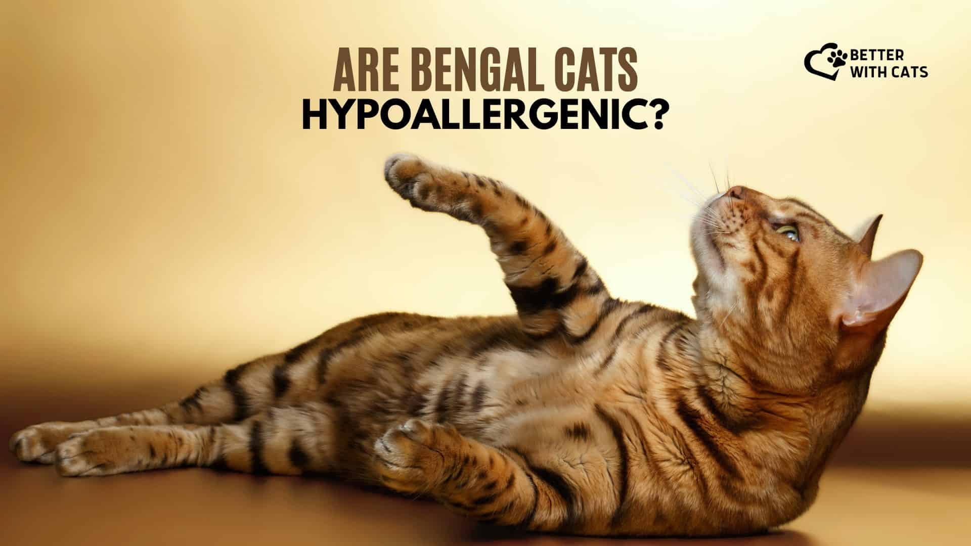 are bengal cats hypoallergenic