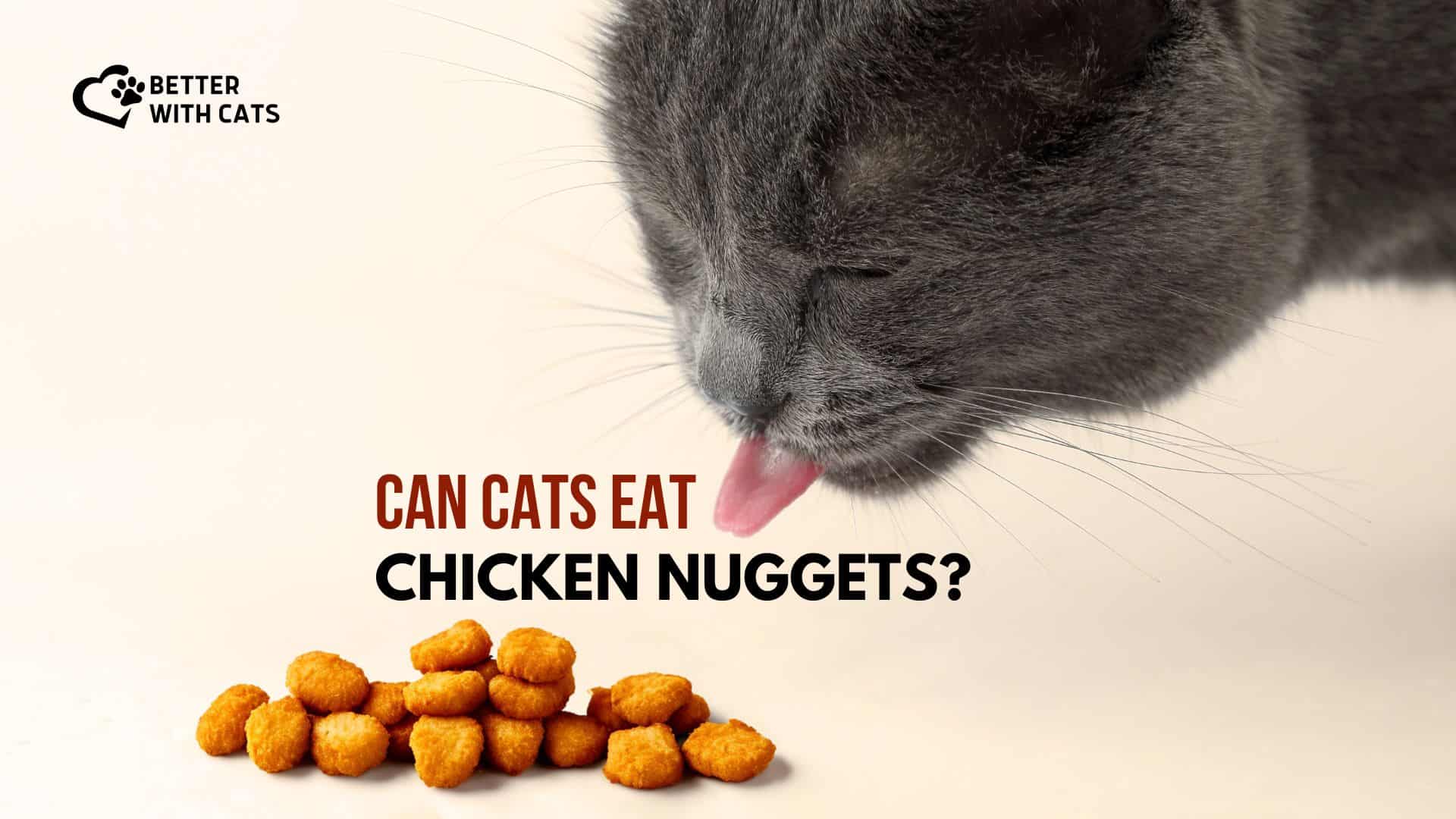 cat eating chicken nuggets