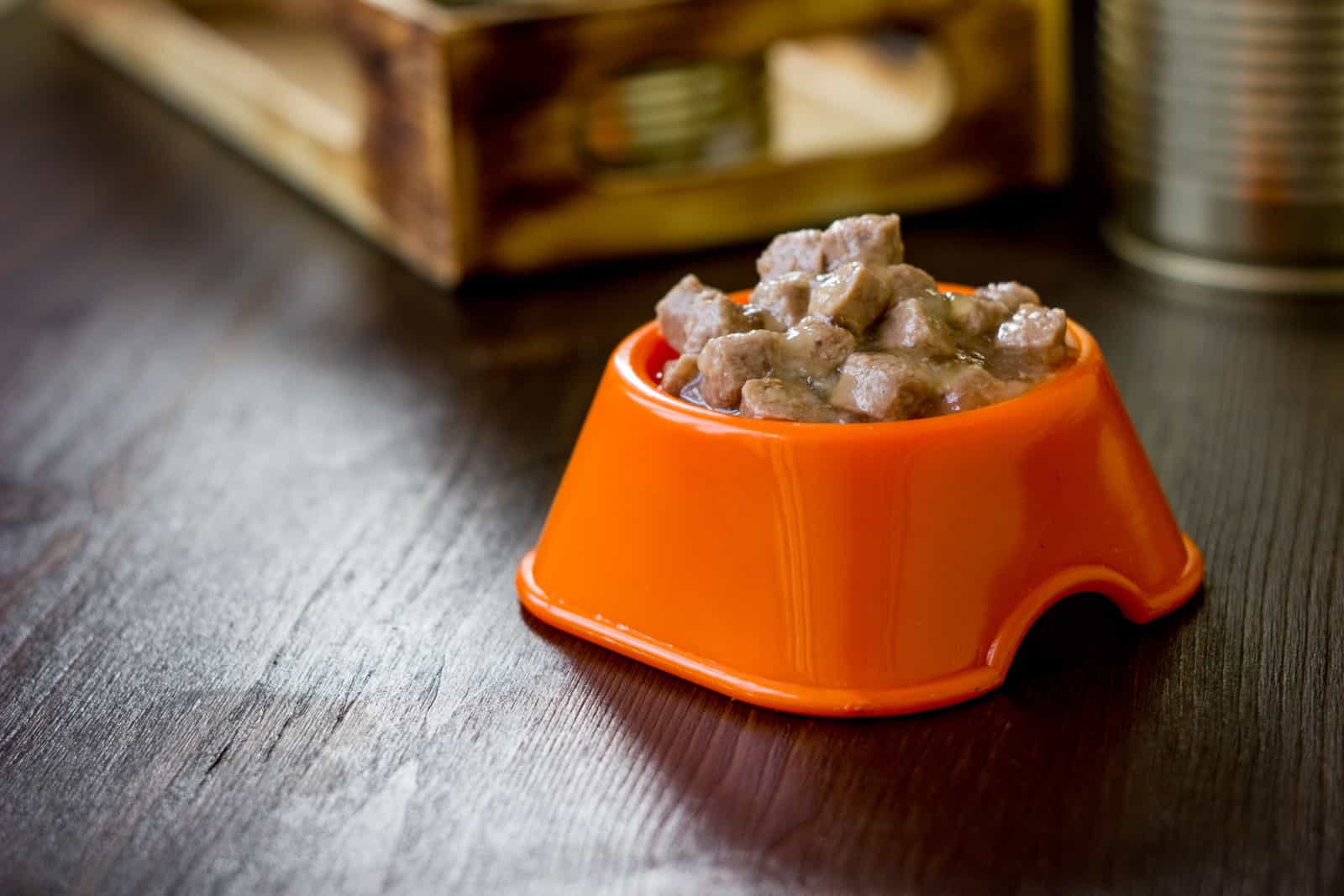 Canned pet food in a orange plastic bowl