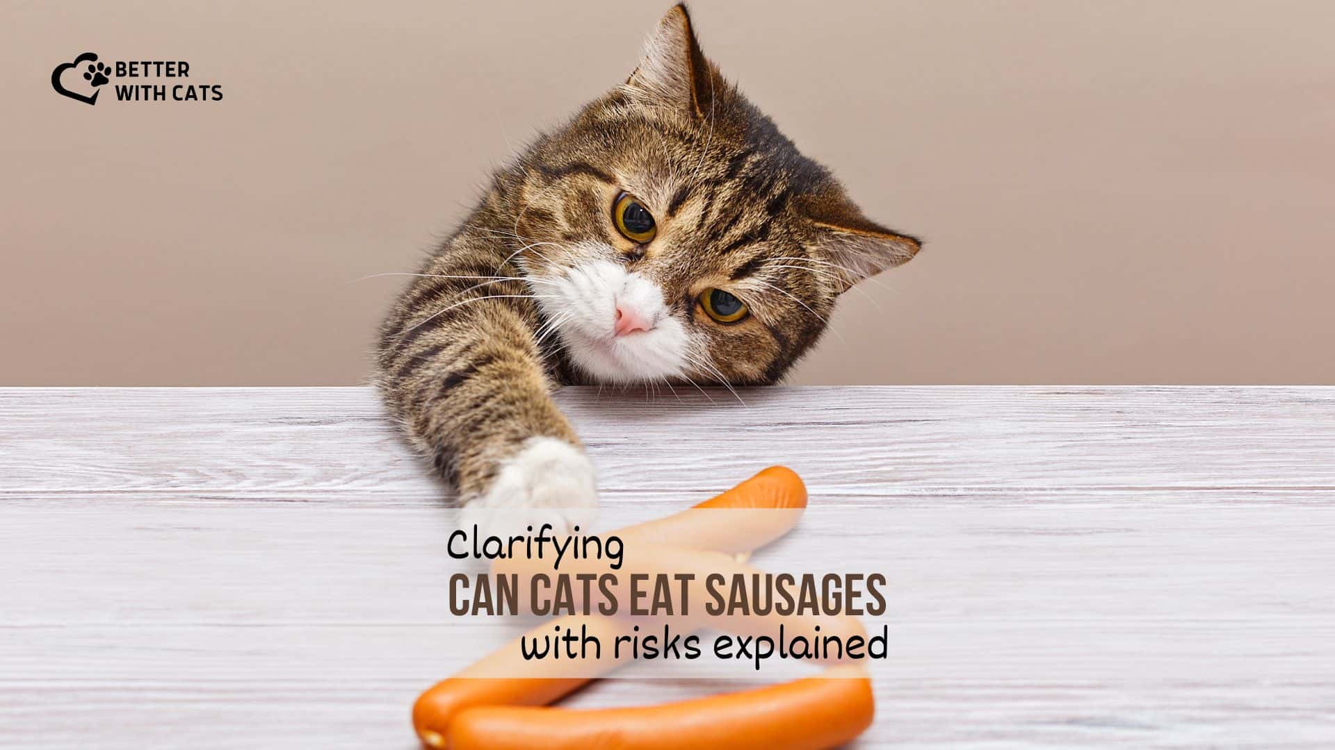 Is sausage bad for cats hotsell