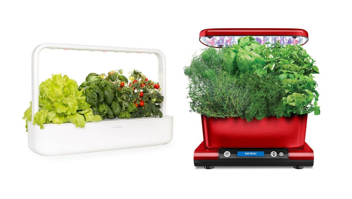 click and grow vs aerogarden smart garden