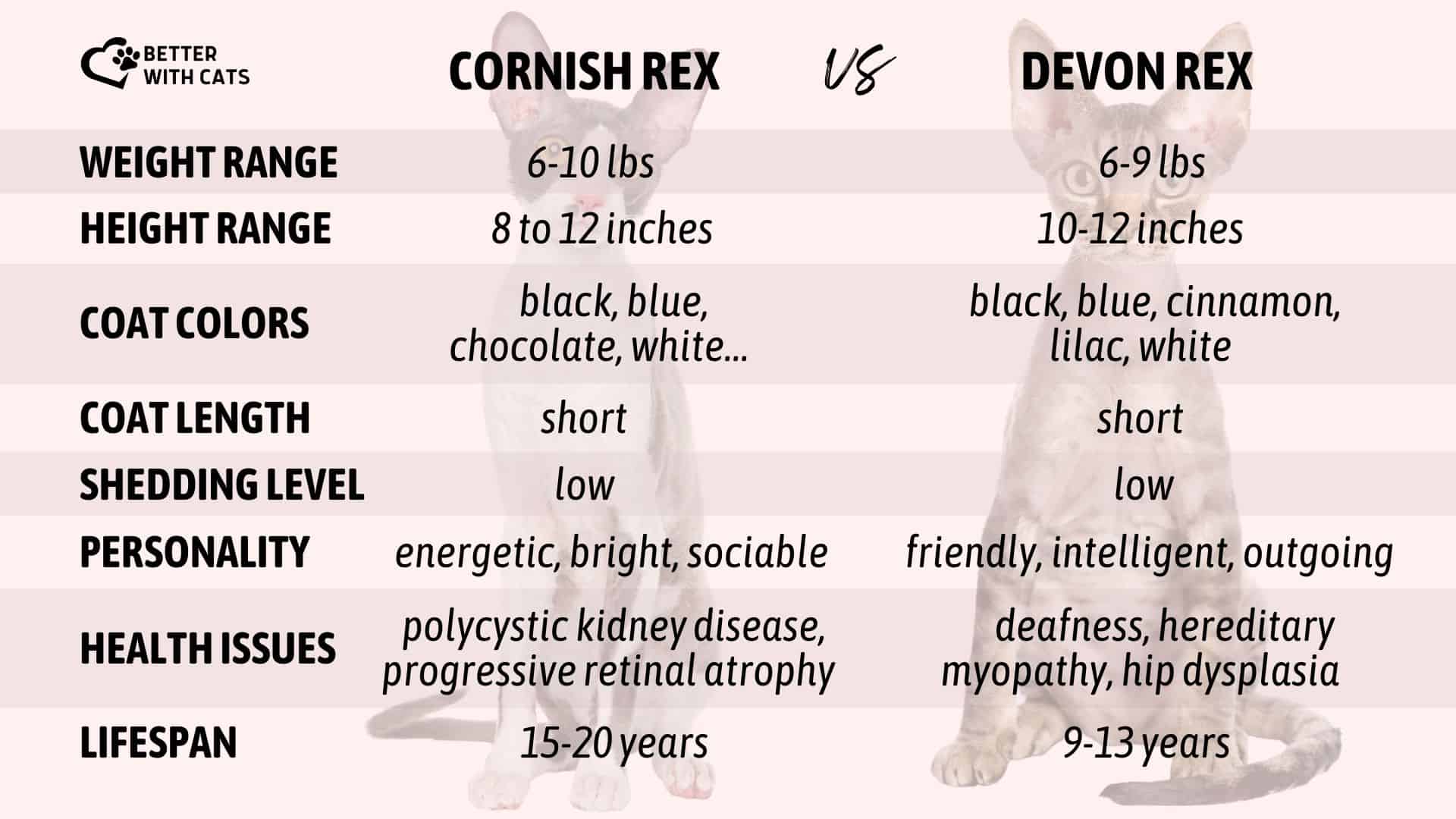 Cornish Rex Vs Devon Rex