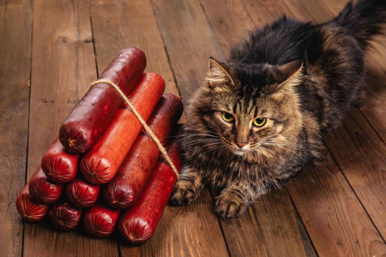 Different types of raw smoked sausages with cat on the floor