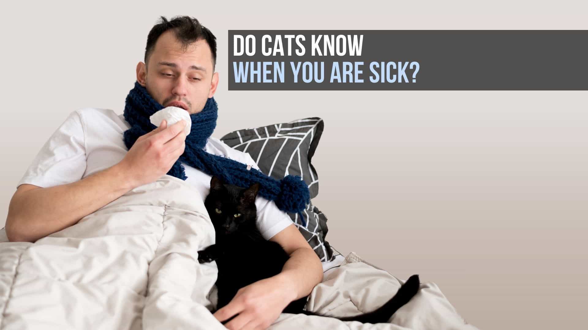 sick man and a cat