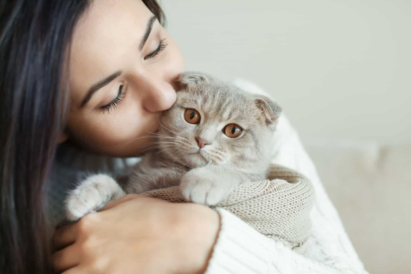 woman kisses a scottish fold cat