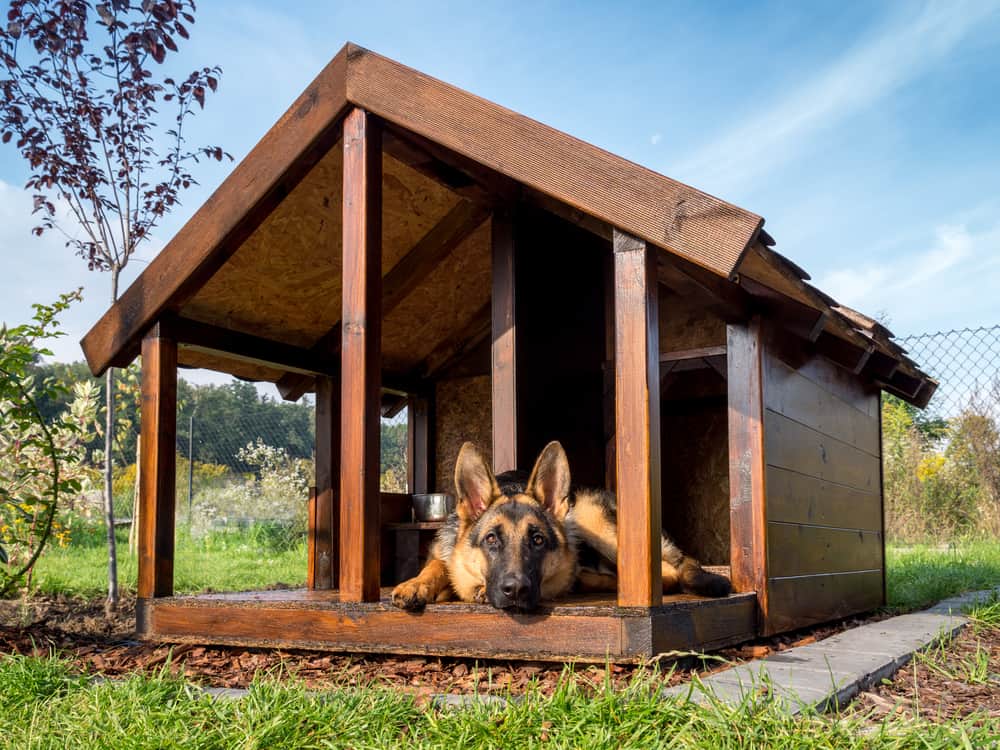 German shepherd resting in its insulated kennel