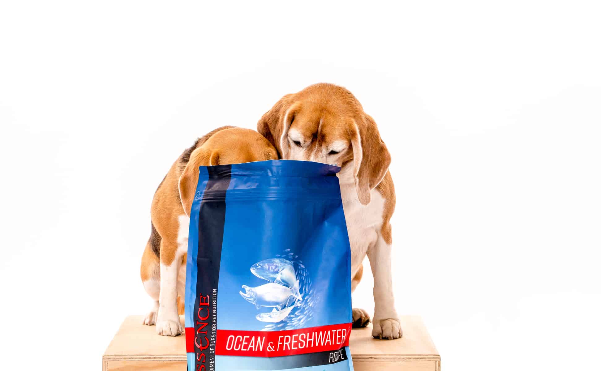 Two Beagles eating from a bag of Essence Ocean & Freshwater recipe dog food